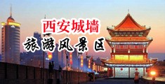 欧美色网大鸡巴视频中国陕西-西安城墙旅游风景区
